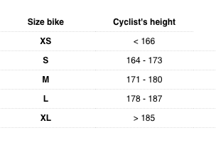 Look 875 MADISON RS TEAM LOOK CRIT LIMITED EDITION FRAMESET