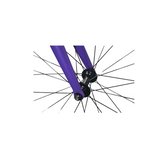The Player - Matte Purple